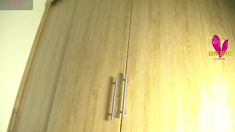 Snapshot of aidaadams chatting on November 2025 11:23:02 AM Aida online show from November 2025 11:23:02 AM