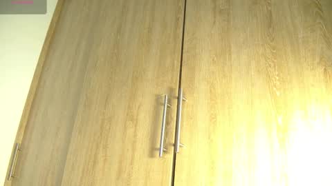 Snapshot of aidaadams chatting on November 2025 11:44:02 AM Aida online show from November 2025 11:44:02 AM