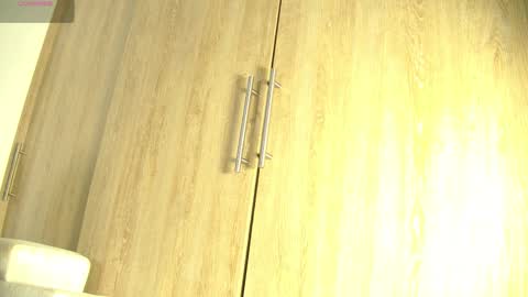 Snapshot of aidaadams chatting on November 2025 11:27:02 AM Aida online show from November 2025 11:27:02 AM