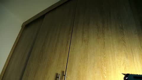 Snapshot of aidaadams chatting on November 2025 09:37:01 AM Aida online show from November 2025 09:37:01 AM