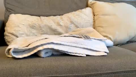 Snapshot of airmyles92 chatting on November 2025 04:52:01 PM canadianboy92 online show from November 2025 04:52:01 PM