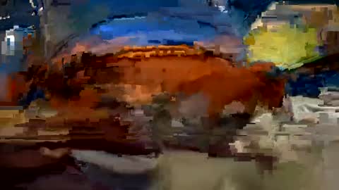 aj297914 online show from October 2025 03:34:02 AM