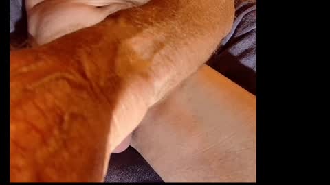 akiwi2 online show from December 2024 10:05:02 AM