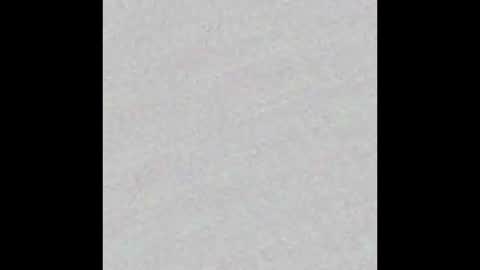 Alaia online show from November 2025 11:20:02 AM