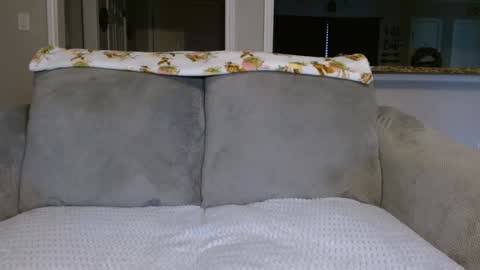 Snapshot of alannarack chatting on February 2025 02:14:02 PM Alanna Rack online show from February 2025 02:14:02 PM