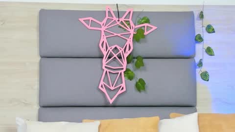 alannawillde online show from January 2026 11:26:02 AM