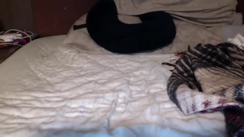 Snapshot of albertalbert9 chatting on December 2024 07:25:02 AM albertalbert9 online show from December 2024 07:25:02 AM