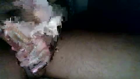 aldous_fuxley online show from February 2026 06:48:02 AM