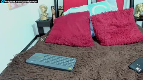 Snapshot of alecstar22 chatting on December 2024 11:49:02 PM Andres star online show from December 2024 11:49:02 PM