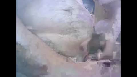 Snapshot of aleksandarcoabatica chatting on October 2025 08:58:02 AM aleksandarcoabatica online show from October 2025 08:58:02 AM