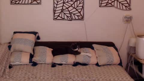 Sandra online show from February 2025 08:09:02 PM