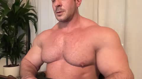 Alessandrobuilder online show from November 2025 04:18:02 PM