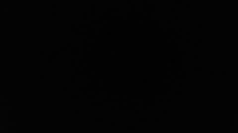 Alex online show from February 2026 01:04:01 AM