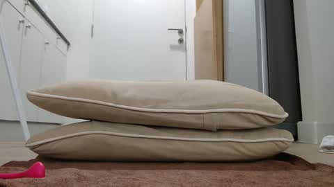 Nicha online show from September 2025 05:23:01 AM