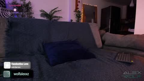 Alex Wolf online show from January 2025 02:41:01 AM