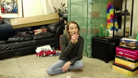 Snapshot of alexagwonderland chatting on December 2024 04:32:01 AM Alexa GW online show from December 2024 04:32:01 AM