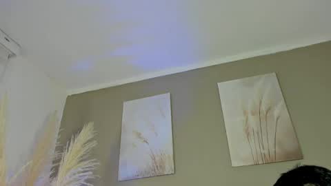Snapshot of alexander_diiaz chatting on June 2026 12:29:01 PM Alexander Diaz online show from June 2026 12:29:01 PM