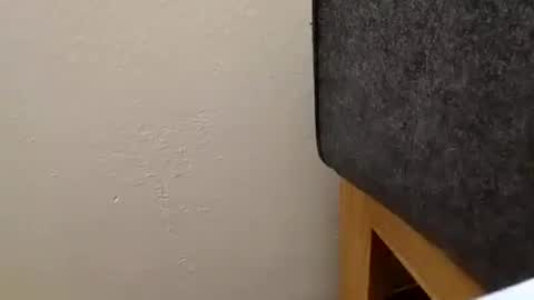 alexanderhub01 online show from October 2025 01:53:01 PM