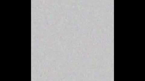 Alex Dimartino online show from September 2025 11:48:02 PM