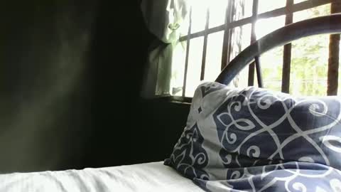 Alex online show from December 2024 05:01:02 PM