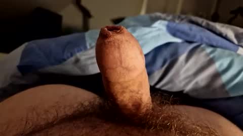 Snapshot of alfred2349 chatting on October 2025 11:36:01 PM alfred2349 online show from October 2025 11:36:01 PM