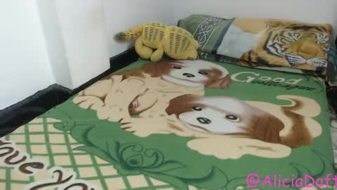 Alicia Aldara online show from April 2026 06:02:02 AM