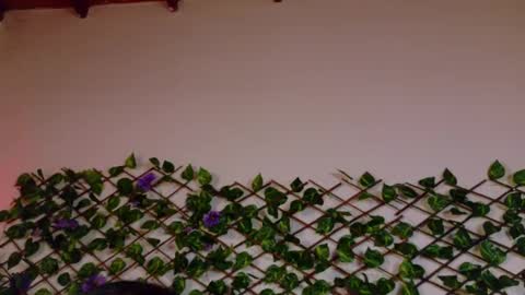 Snapshot of alice_rous21 chatting on October 2025 01:54:02 PM alice_rous21 online show from October 2025 01:54:02 PM