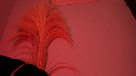 Snapshot of alicepoixxxon chatting on October 2025 03:14:01 AM ALICE online show from October 2025 03:14:01 AM