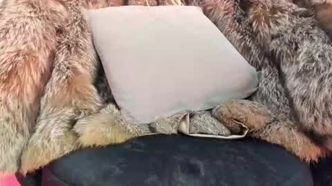 Snapshot of alicepoixxxon chatting on November 2025 04:34:02 AM ALICE online show from November 2025 04:34:02 AM