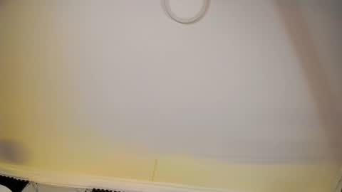 ALICE  online show from February 2026 06:53:01 AM