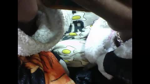 alicia253177 online show from September 2025 06:30:02 PM