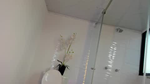 Snapshot of alidiaz__ chatting on March 2025 03:38:02 PM Ali Diaz online show from March 2025 03:38:02 PM