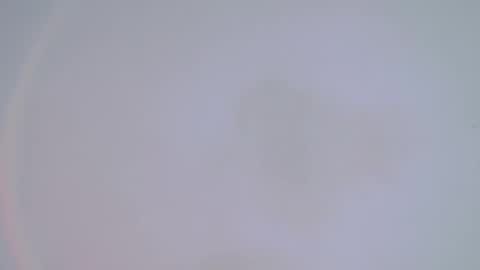     online show from February 2025 01:34:01 AM