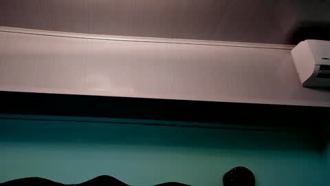 Snapshot of aliice_greco chatting on December 2024 07:48:02 AM Alice online show from December 2024 07:48:02 AM