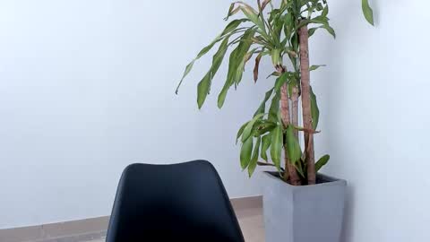 Snapshot of aliice_greco chatting on October 2025 03:18:02 PM Alice online show from October 2025 03:18:02 PM