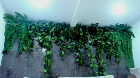 Snapshot of aliice_greco chatting on November 2025 05:01:02 PM Alice online show from November 2025 05:01:02 PM