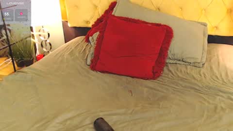 Snapshot of alishaweir chatting on December 2024 11:56:02 PM Luna online show from December 2024 11:56:02 PM