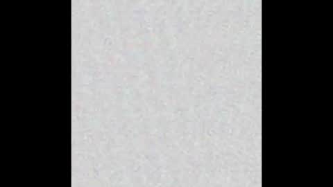 Alisse online show from December 2025 12:03:02 PM