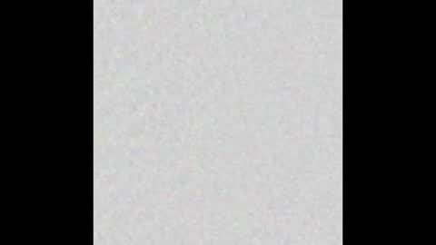 Alisse online show from December 2025 11:49:02 AM