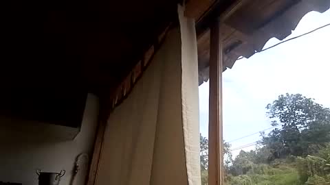 Snapshot of alisson369_ chatting on February 2025 03:03:01 PM Alisson369 online show from February 2025 03:03:01 PM