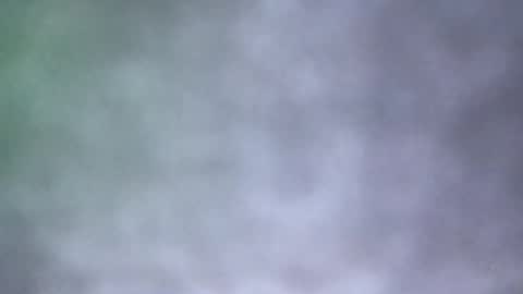 Snapshot of all_most_sane chatting on May 2026 04:02:01 PM all_most_sane online show from May 2026 04:02:01 PM