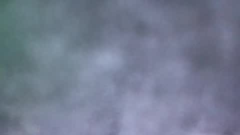 Snapshot of all_most_sane chatting on May 2026 04:02:02 PM all_most_sane online show from May 2026 04:02:02 PM
