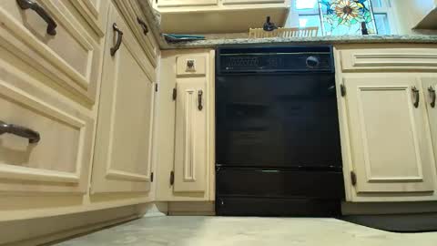 Snapshot of allgood4u chatting on December 2025 07:22:01 PM wishlist on bio online show from December 2025 07:22:01 PM