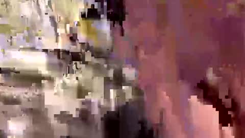 alliebearx online show from September 2025 07:07:02 PM