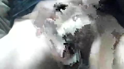 allways395 online show from September 2025 03:34:01 AM