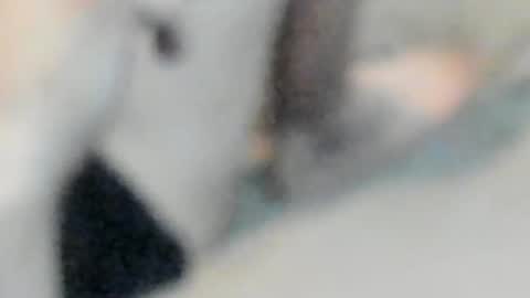 allways395 online show from October 2025 05:04:02 AM