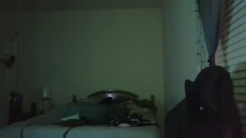 ally12334 online show from April 2026 01:14:02 AM