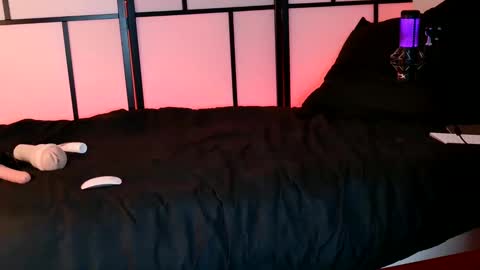 Snapshot of allys_secret chatting on December 2024 08:17:01 PM Call me Ally online show from December 2024 08:17:01 PM