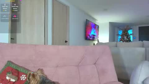 Snapshot of allysonswwan17 chatting on November 2025 09:15:01 PM Ally online show from November 2025 09:15:01 PM