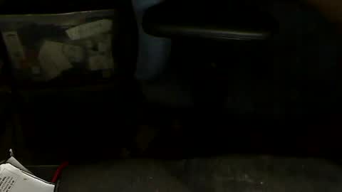 Loooopy online show from January 2025 07:04:01 PM